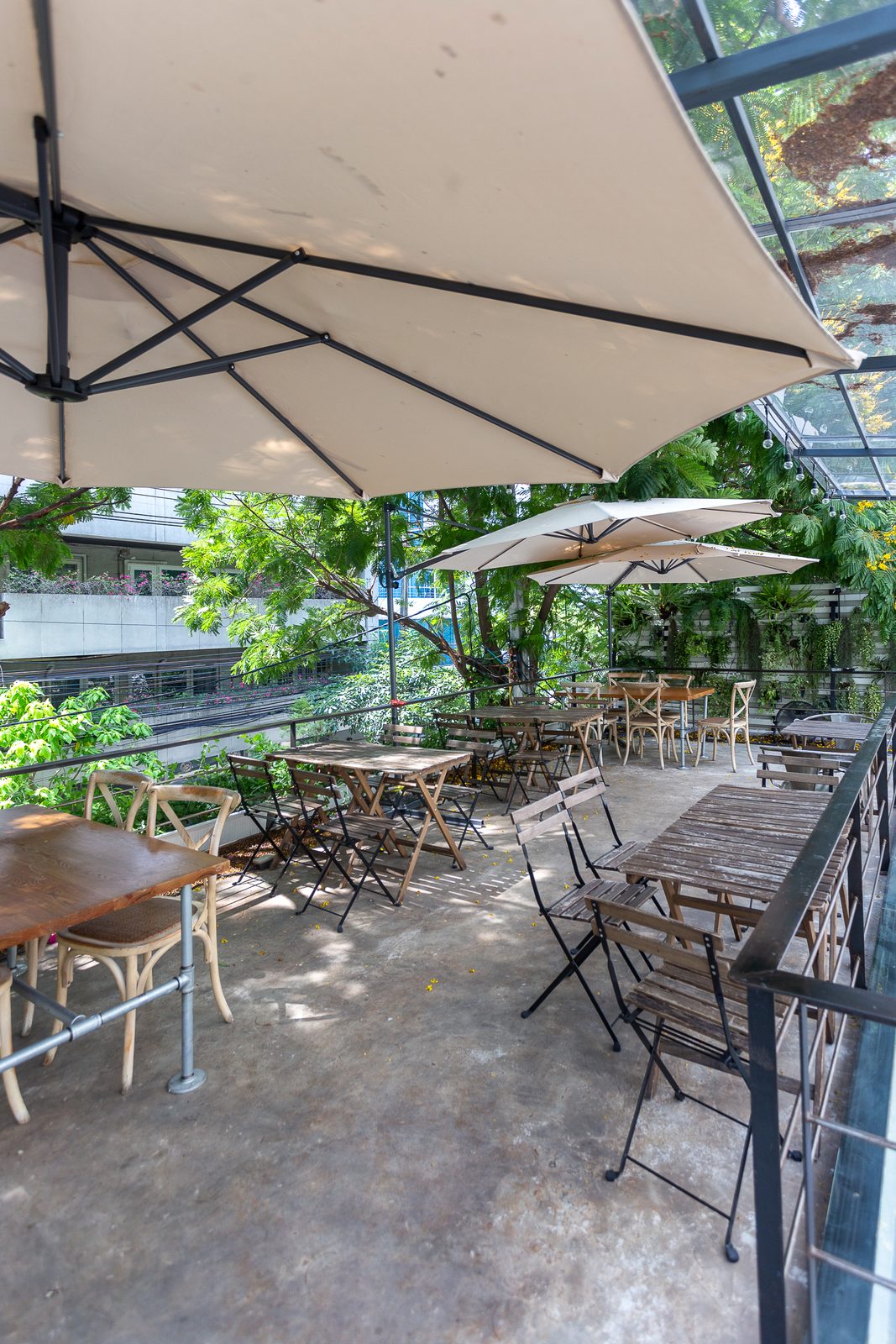 Cosmos Cafe greenery